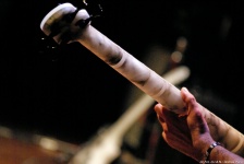 Photo Number 9